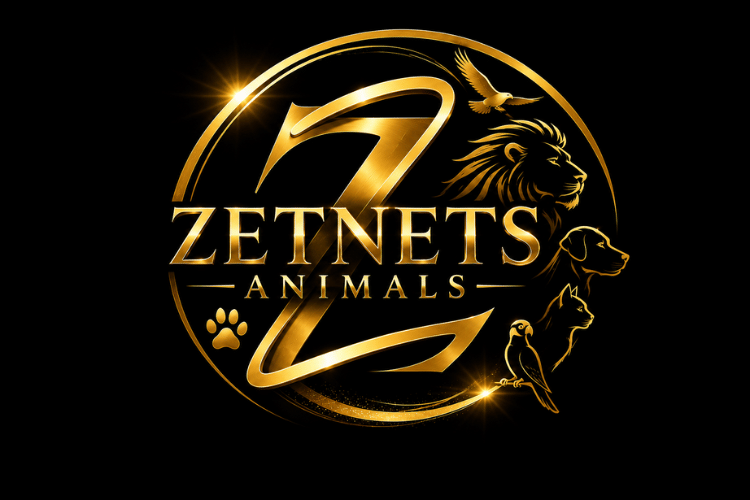 Zetnets Animals grupa na Facebooku zwierzęta natura zdjęcia i filmy